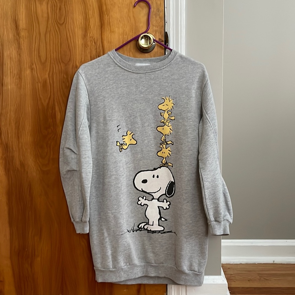 Zara Kids Sweatshirt Dress